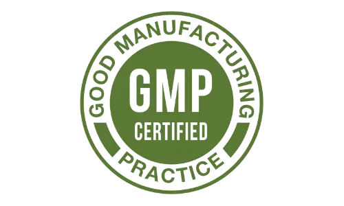 Dental Bright GMP manufacturing standards