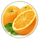 Dental Bright xylitol oral support ingredient